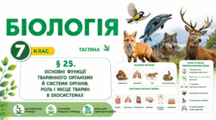 Основні функції тваринного організму й системи органів. Роль і місце тварин в екосистемах. Презентація, інфографіка, робочий аркуш