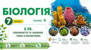 Різноманіття та значення губок в екосистемах. Презентація, інфографіка, робочий аркуш