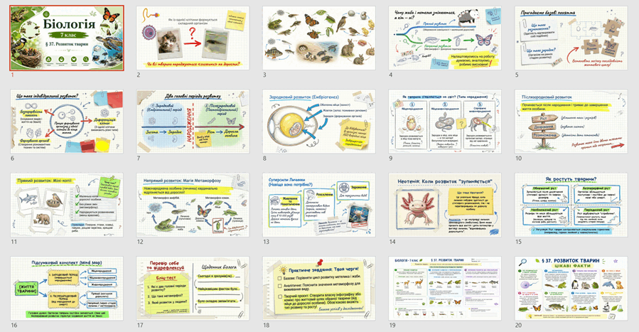 09026xnl-ecdc-899x467.png