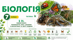 Членистоногі: різноманіття, роль і значення в екосистемах та житті людини. Презентація, інфографіка, робочий аркуш