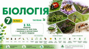 Комахи: різноманіття, їхня роль і значення в екосистемах та житті людини. Презентація, інфографіка, робочий аркуш