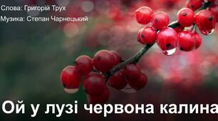 Пісня січових стрільців "Ой у лузі червона калина похилилася..." 6 клас НУШ