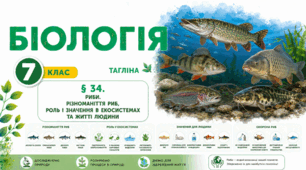 Риби. Різноманіття риб, роль і значення в екосистемах та житті людини. Презентація, інфографіка, робочий аркуш