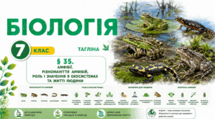 Амфібії. Різноманіття амфібій, роль і значення в екосистемах та житті людини. Презентація, інфографіка, робочий аркуш