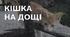 Ернест Гемінґвей. «Кішка на дощі».