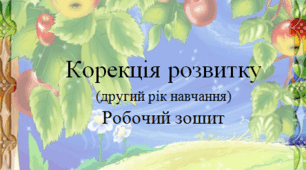 Робочий зошит з Корекції розвитку для дітей із ЗПР 2 клас за програмою Сак