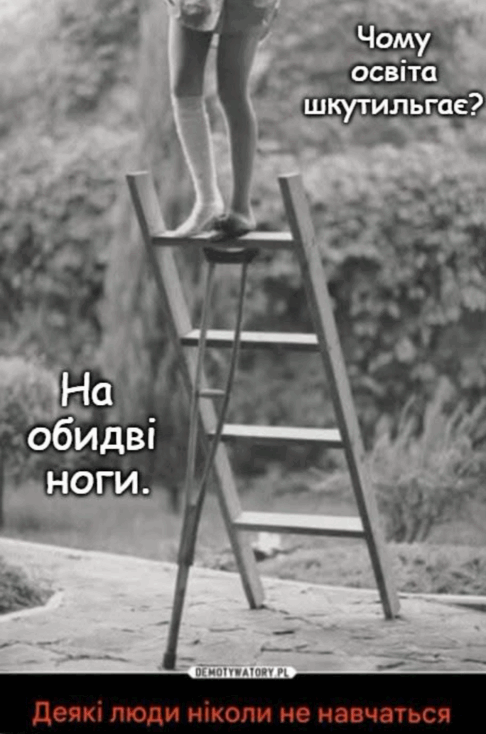 09026ztn-e88d-486x734.png