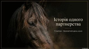 11 липня - Всесвітній день коня