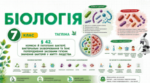 Корисні й патогенні бактерії. Бактеріальні захворювання та їхнє попередження засобами гігієни. Значення бактерій у житті людства. Презентація, інфографіка, робочий аркуш