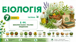 Використання рослин людиною. Презентація, інфографіка, робочий аркуш