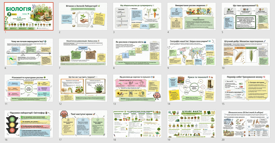 0902704r-fff2-899x468.png