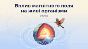 Вплив магнітного поля на живі організми. Фізика 9 клас НУШ
