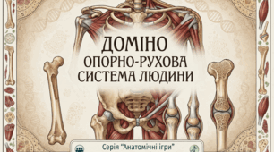 Доміно "Опорно-рухова система людини" (Серія "Анатомічні ігри")