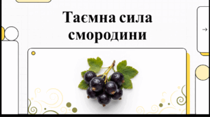 Відеоогляд "14 липня - Всесвітній день смородини"