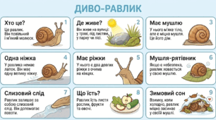 Мнемотаблиці для опису: "Равлик", "Черепаха", "Жаба", " Ящірка "