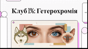 Відеоогляд "12 липня - День різнокольорових очей"