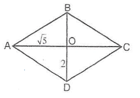0902743v-7d1b-278x194.png