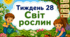 Тематичний тиждень "Світ рослин" 1 клас НУШ Стіна слів