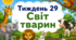 Тематичний тиждень "Світ тварин" 1 клас НУШ Стіна слів