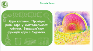 Презентація, конспект уроку та робочі аркуші на тему "Ядро клітини. Провідна роль ядра у життєдіяльності клітини. Взаємозв’язок функцій ядра з будовою". 9 клас НУШ
