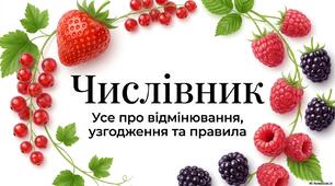 Числівник НМТ