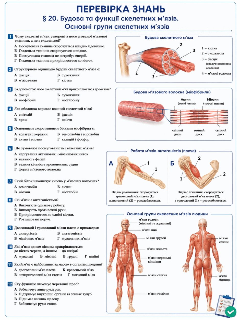 090275sq-e9c0-940x1253.png