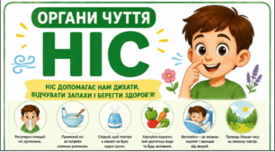 Органи чуття - НІС. Тематичний плакат