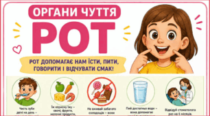 Органи чуття - РОТ. Тематичний плакат