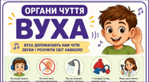 Органи чуття - ВУХА. Тематичний плакат