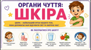 Органи чуття - ШКІРА. Тематичний плакат