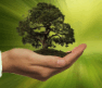 090276rd-486a-94x81.png