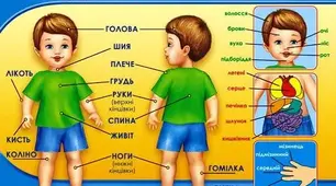 Квест «Дивовижна подорож таємницями нашого тіла»