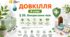 Використання ліків. Презентація, інфографіка, робочий аркуш