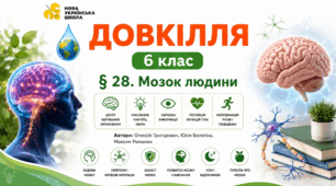 Мозок людини. Презентація, інфографіка, робочий аркуш