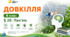 Пам’ять. Презентація, інфографіка, робочий аркуш