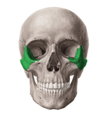 090278dx-2c1d-151x167.png
