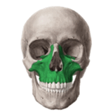 090278dy-506d-151x159.png