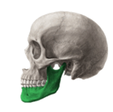 090278dz-9180-162x161.png