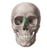 090278e0-1271-162x173.png