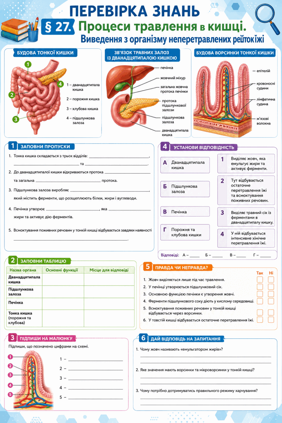 090278p1-b57d-940x1410.png