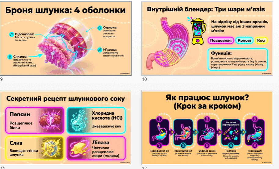 090278sy-f3c4-914x554.png
