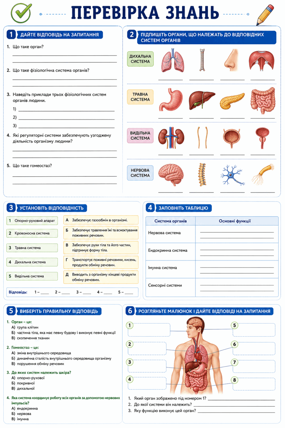 090278uy-e22b-940x1410.png