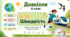 Швидкість. Презентація, інфографіка, робочий аркуш