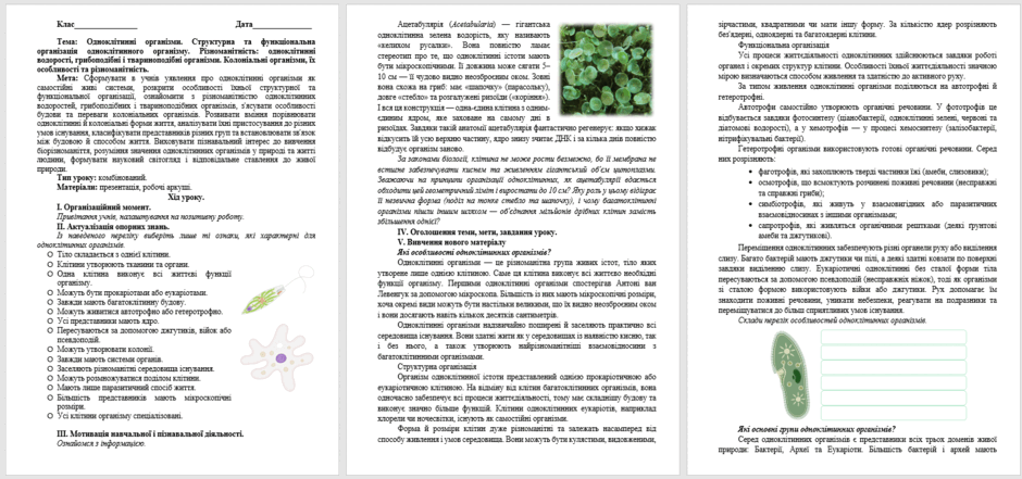090279l5-3ac9-940x441.png