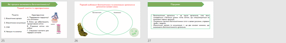 090279ls-e8ab-940x143.png