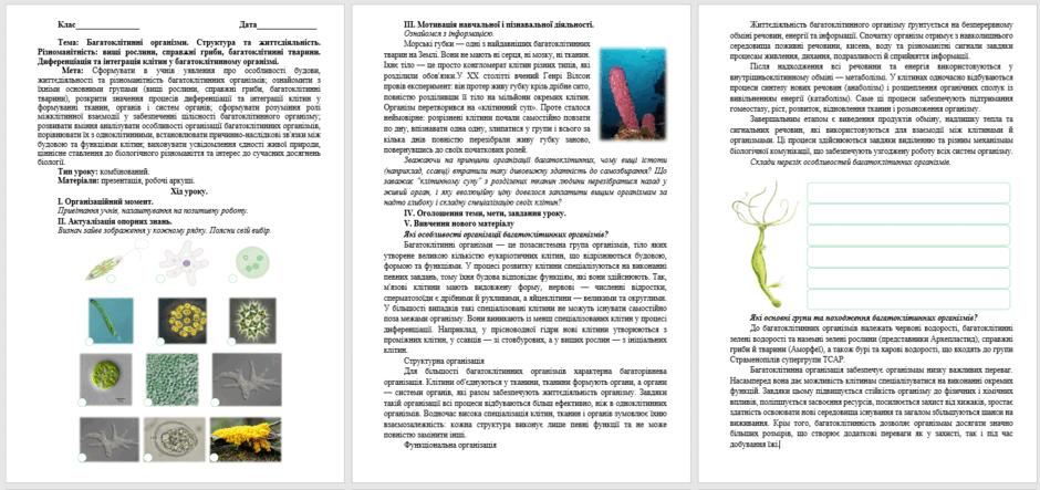 090279lu-c84f-940x443.png