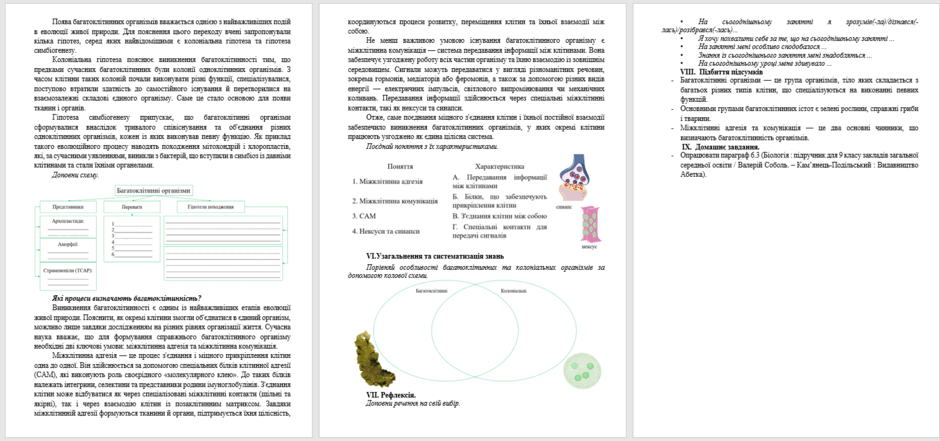 090279lx-29a8-940x441.png