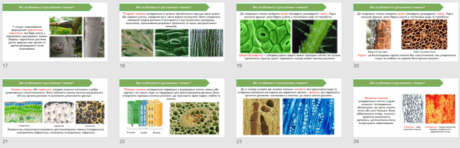 090279mr-3ab7-940x304.png
