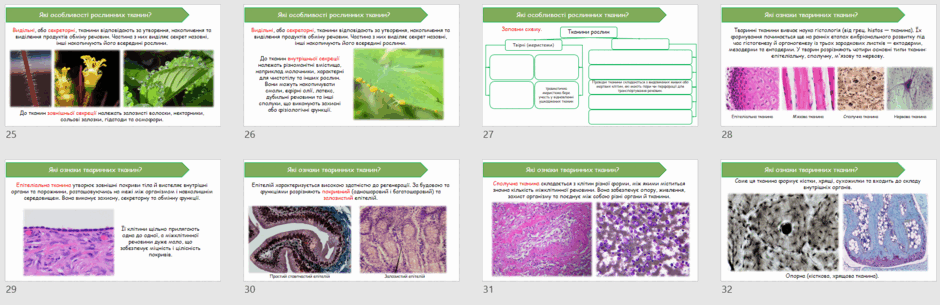 090279ms-0b85-940x305.png