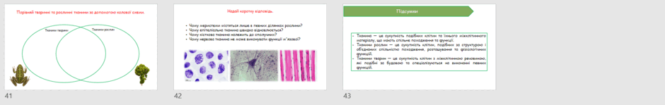 090279mu-3995-940x149.png